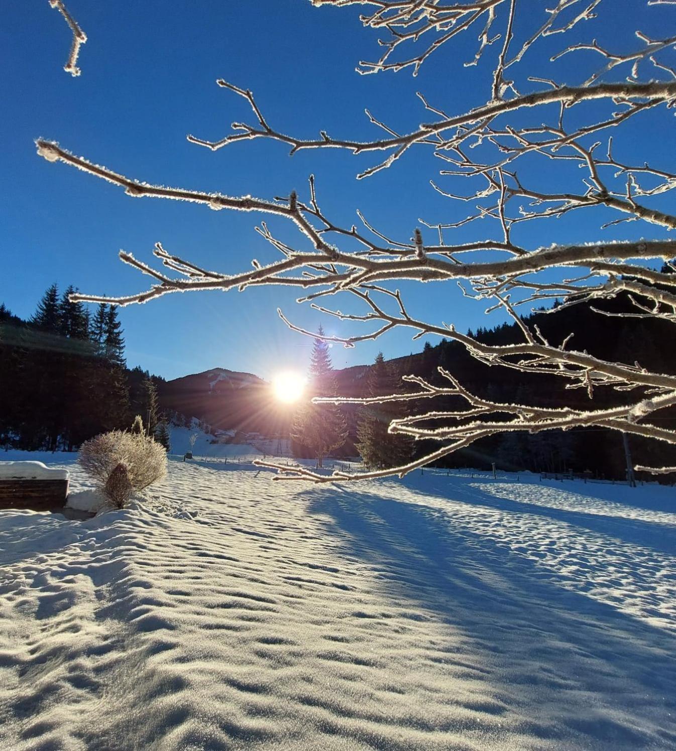 Huette Neuhaus Villa อันนาแบร์ อิม ลัมเมอร์ทาล ภายนอก รูปภาพ