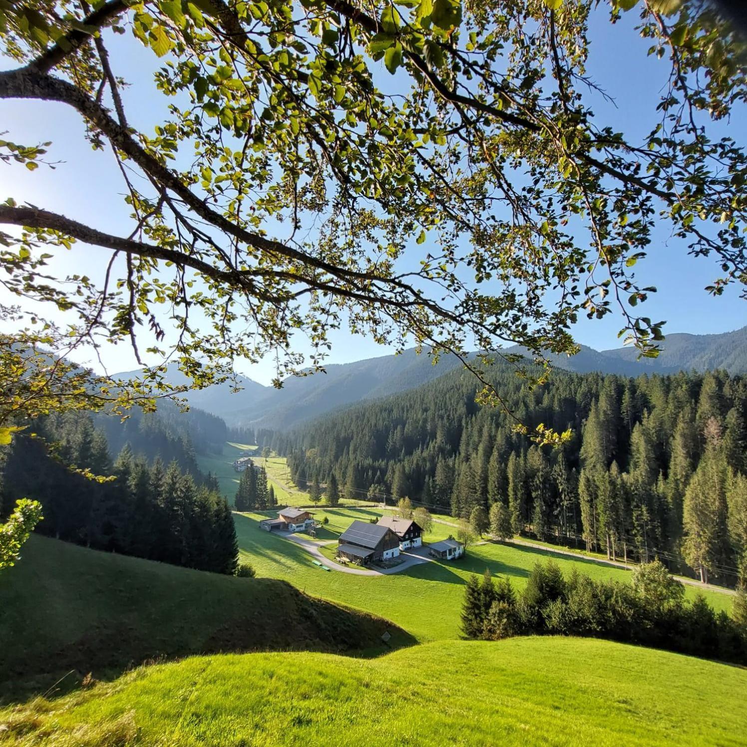 Huette Neuhaus Villa อันนาแบร์ อิม ลัมเมอร์ทาล ภายนอก รูปภาพ