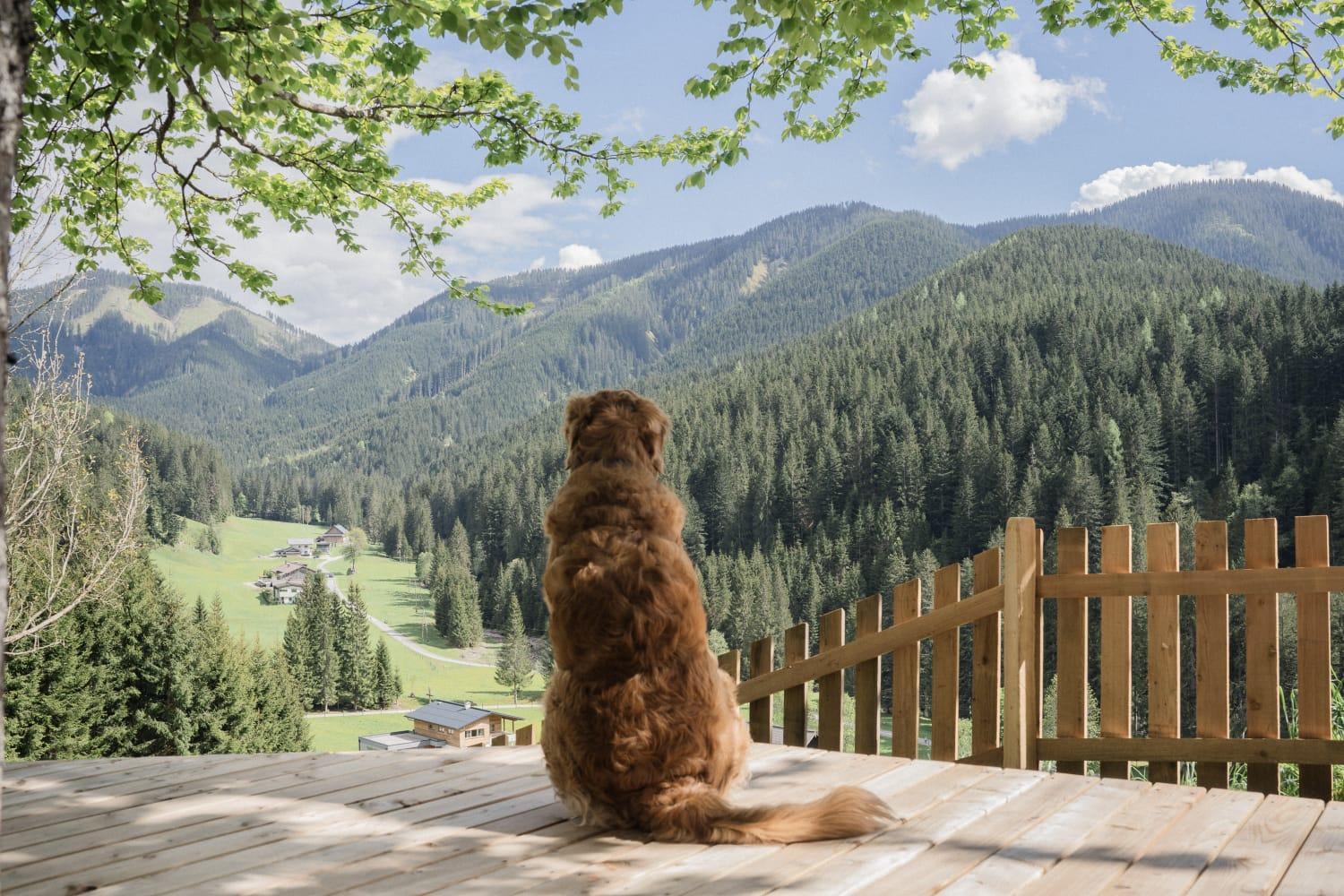 Huette Neuhaus Villa อันนาแบร์ อิม ลัมเมอร์ทาล ภายนอก รูปภาพ