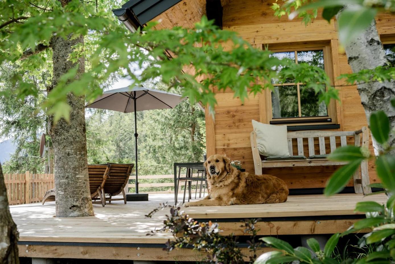 Huette Neuhaus Villa อันนาแบร์ อิม ลัมเมอร์ทาล ภายนอก รูปภาพ